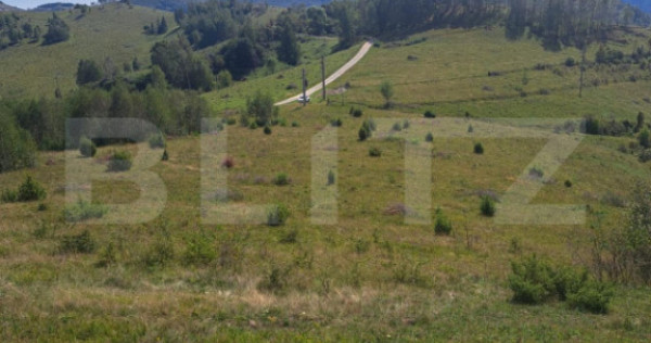 Teren extravilan 4.604 mp cu curent – ideal pentru cabană