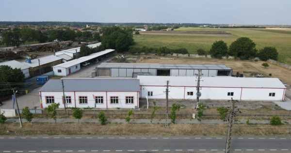 Hale depozitare/producție 2.000 mp si 10.000 mp teren î...