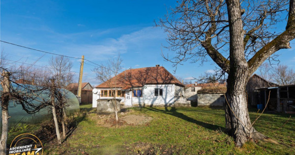 FILM! Casa cu sura, pivnita, balta cu pesti, 2.280 mp teren