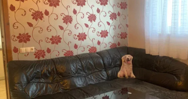 Apartament cu 2 camere pet friendly, 45 mp, situat la casa i