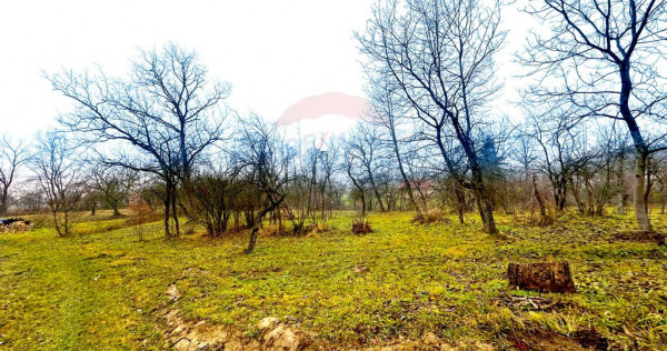 DE VANZARE LOCATIE SUPERBA