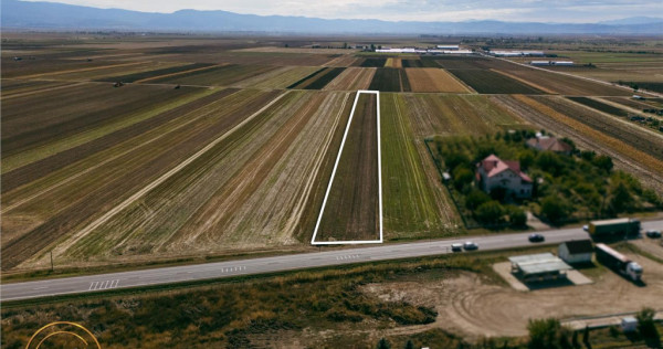 FILM! Teren intravilan 7.500 mp, deschidere dubla, DN11 (E57