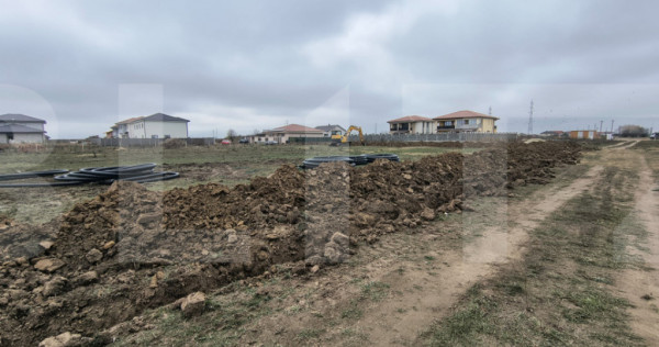 Teren de vanzare Mosnita Noua