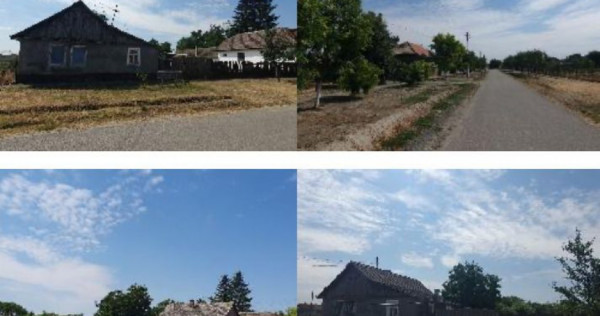 Cota de 1/2 din casa si teren Loc. Beba Veche jud. Timis,