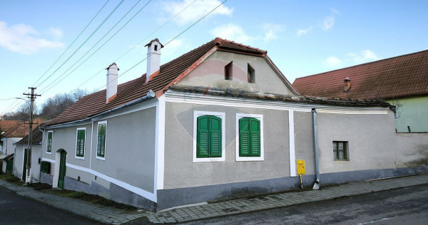 Casă / Vilă cu 4 camere de v&acirc;nzare