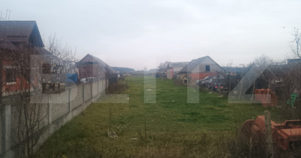 Teren intravilan | 1943 mp | Ciuperceni