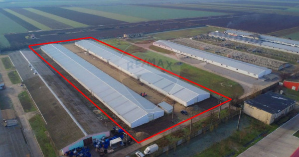 De v&acirc;nzare &ndash; 2 hale industriale, 5.050 mp utili, Palota