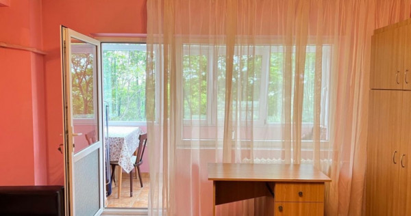 Berceni strada savinesti oltenitei lidl