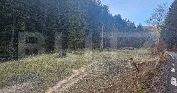 Teren intravilan 1500 mp, zonǎ montanǎ, V&acirc;ltori, Vadu Mot