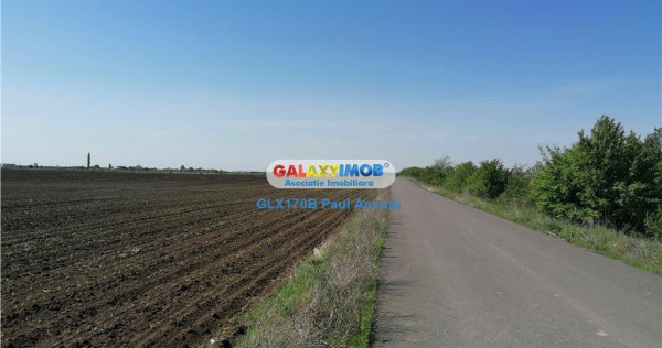 Teren 25000 mp Corbeanca str Floarea Soarelui cu PUZ Lotizat