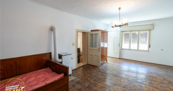 FILM!Doua case traditionale,pe domeniu cu peste 5.000mp tere