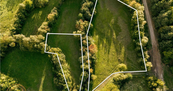 FILM! Teren extravilan, Ojdula, 4.800 mp, zona pitoreasca