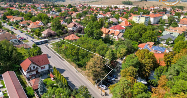 Intravilan,versatil,Central,Sfantu Gheorghe, optim dezvoltar