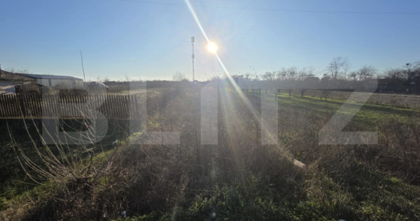 Teren intravilan pentru casă, 1000 mp &ndash; Costești din Dea