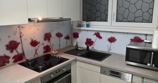 Apartament 2 camere Manastur-str Micus