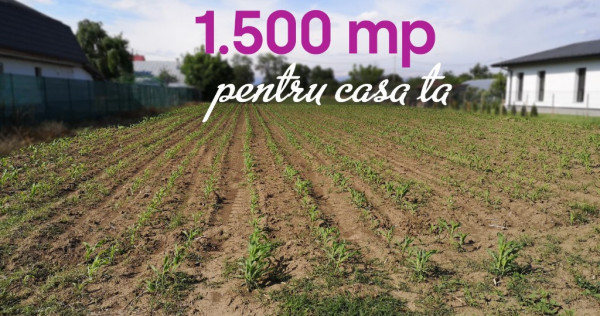 Teren de 1.500 mp pentru casa ta