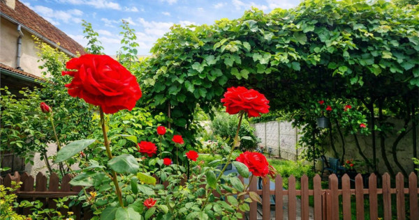 3D!LIVE! Casa cu vatra traditionala,gradina, garaj,facilitat