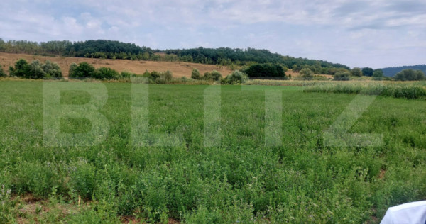 De vanzare teren Fundatura 27500mp - intravilan