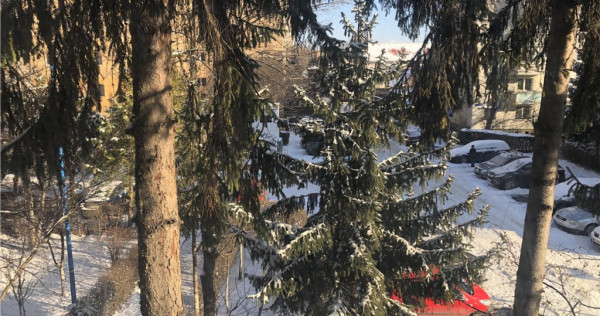 Oportunitate 3 Camere etaj intermediar | Panorama | Grivite