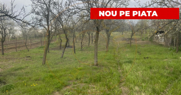 Teren intravilan 2.200 mp cu constructie existenta &ndash;Caline