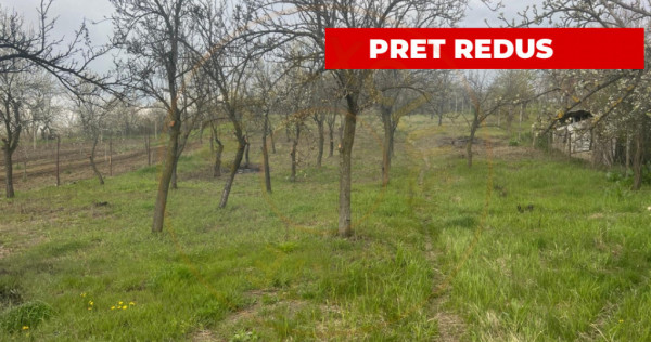 Teren intravilan 2.200 mp cu constructie existenta &ndash;Caline