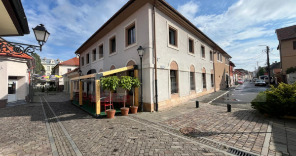 Investiție Premium: Bistro, Casă și Birouri &icirc;n Centrul I