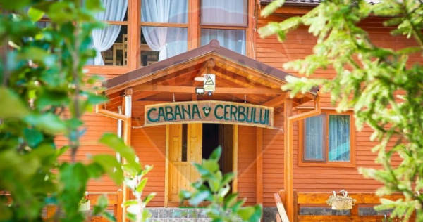 De V&acirc;nzare Pensiune Rustica De Vis Pe Ruta Lerești-Voina