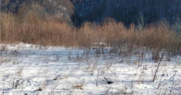 Teren Intravilan Sinaia 444 mp