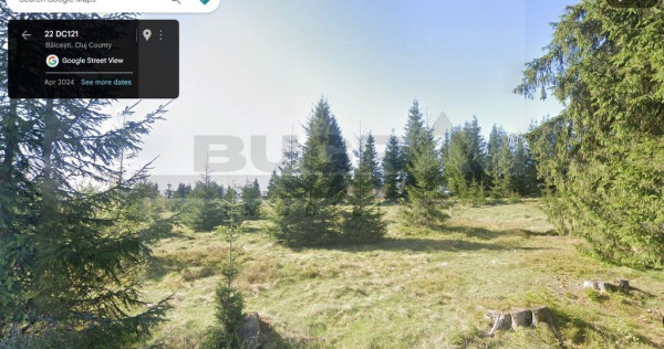 Teren intravilan, 1400 mp, Balcesti, Belis