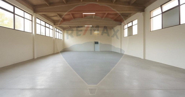 Hală industrială de &icirc;nchiriat &icirc;n Tăuții de Sus &ndash; ...
