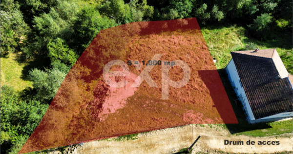 Teren intravilan 4.000 mp &icirc;n Zărnești &ndash; zonă liniștit