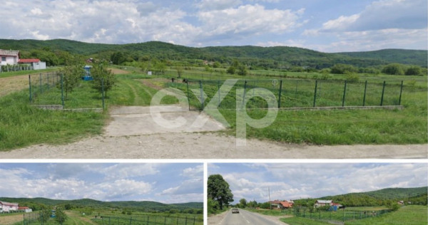 Teren de vanzare Baiculesti AG, 7000mp, 7km pana la A1, 25m