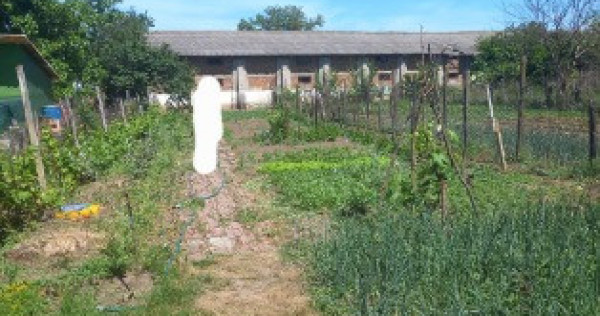 Casa batraneasca nelocuibila cu teren 730mp Olari, Prahova