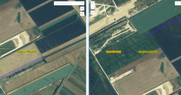 Teren agricol extravilan - T&acirc;rgșoru Vechi, județ Prahova, 12500mp