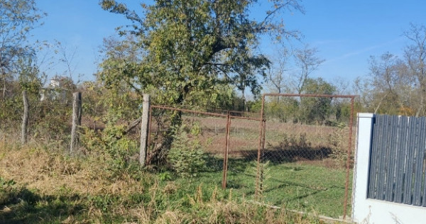 Pamant teren intravilan 2000mp Cuza Voda, Dambovita