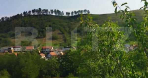 Teren extravilan 1100 mp, Paclisa, Alba iulia