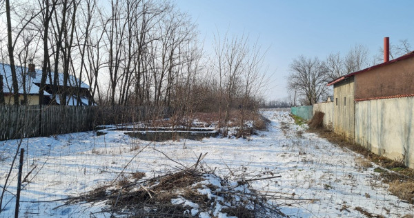 Teren intravilan 4214 mp, Maruntisu, Costestii din Vale, DB