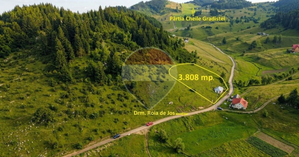 Teren 3808mp+Casă Fundata, Brașov - Cheile Grădiștei ...