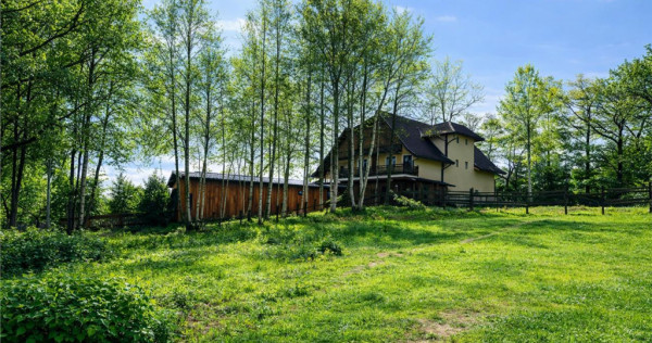 Teren intravilan construibil 550 mp, Tohanita, Zarnesti,Bras