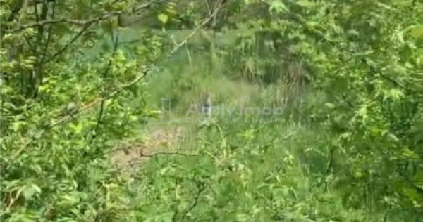 Teren intravilan 500 mp - Ganeasa