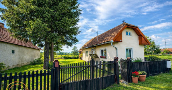 FILM! Casa pitoreasca anexe 1.500mp teren, Santionlunca,