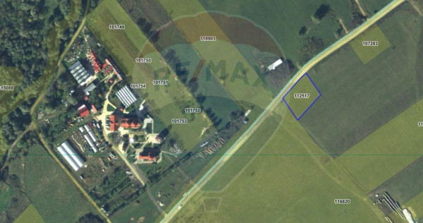 Teren Selimbar langa drumul spre Sopa