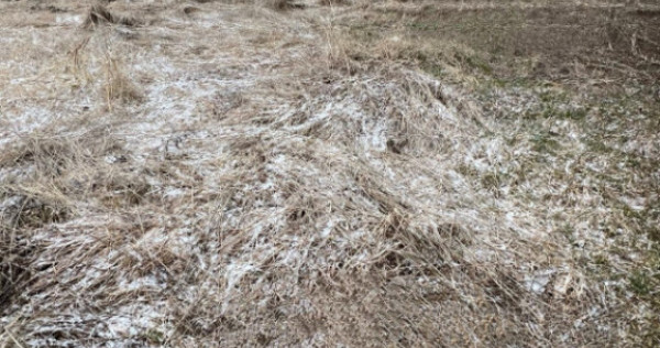 Teren intravilan pentru construcție de casă &icirc;n Dezmir!