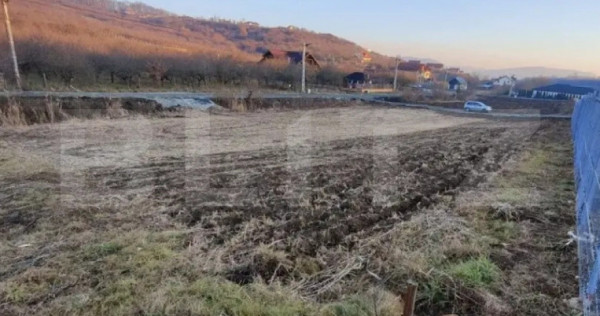 Teren intravilan 7,15 ari - construcție casă, zonă liniș