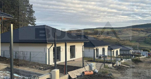 Casa individuala pe un singur nivel, Popesti