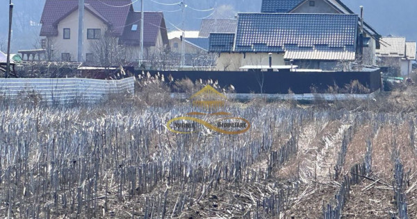 De vanzare teren intravilan Hemeius Bacau