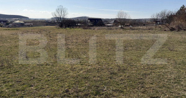 Teren intravilan in localitatea Hereclean in suprafata de 58