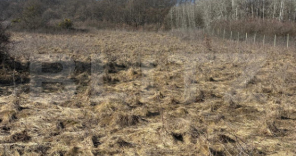 Teren intravilan, 4300 mp, utilitati la 500 m, Valea Garbau