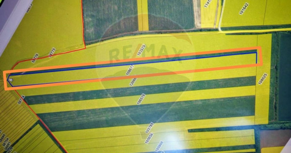 Teren extravilan 33.750 mp I Corbeanca