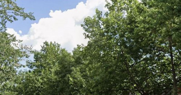 Vitan, teren suprafata 700 mp